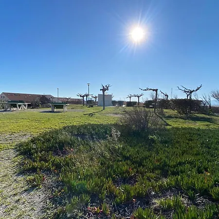 Villa Port : Mezzanine, Climatisee, Animaux -10kg, Parking, 4 Pers. - Fr-1-798-54 Leucate